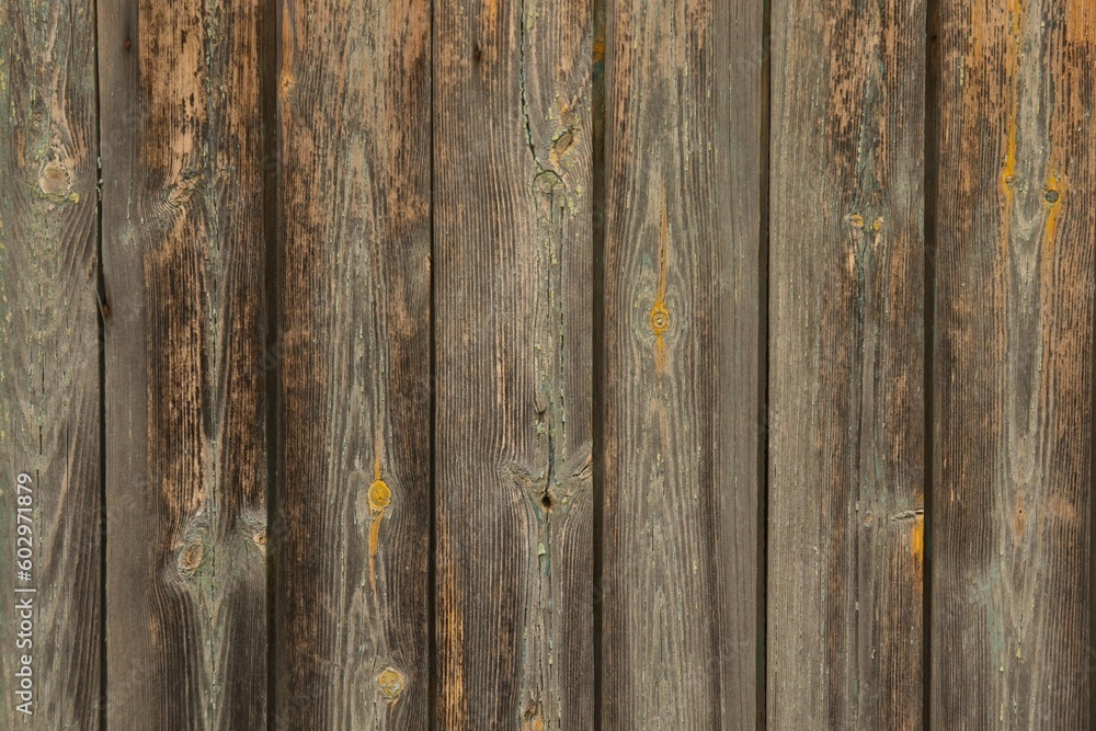 Fototapeta premium old wood texture