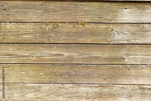 Background, texture wall sheathed with wooden planks