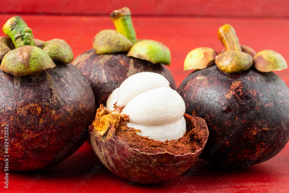 Fresh mangosteen on red background