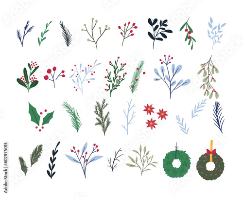 Set of cute hand drawn winter botany elements, flat vector illustration isolated on white background. Various branches, flowers, berries and wreaths. Floral Christmas decoration collection.