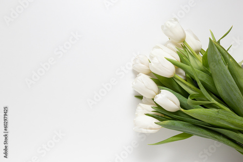 bouquet of white tulips on a white background