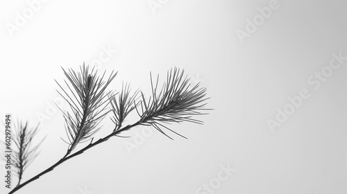 Close up of evergreen branch on a white wall. Abstract nature concept blurred background. Space for text. Overlay effect for photo, posters, stationary, wall art, design. Generative AI