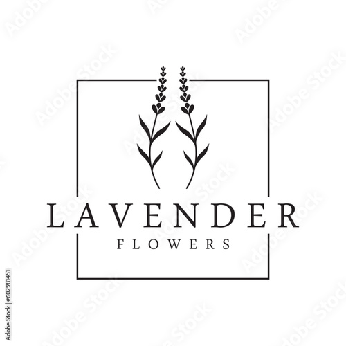 Hand drawn organic lavender flower logo template design.Logo for cosmetic, beauty,tea,oil,herb.