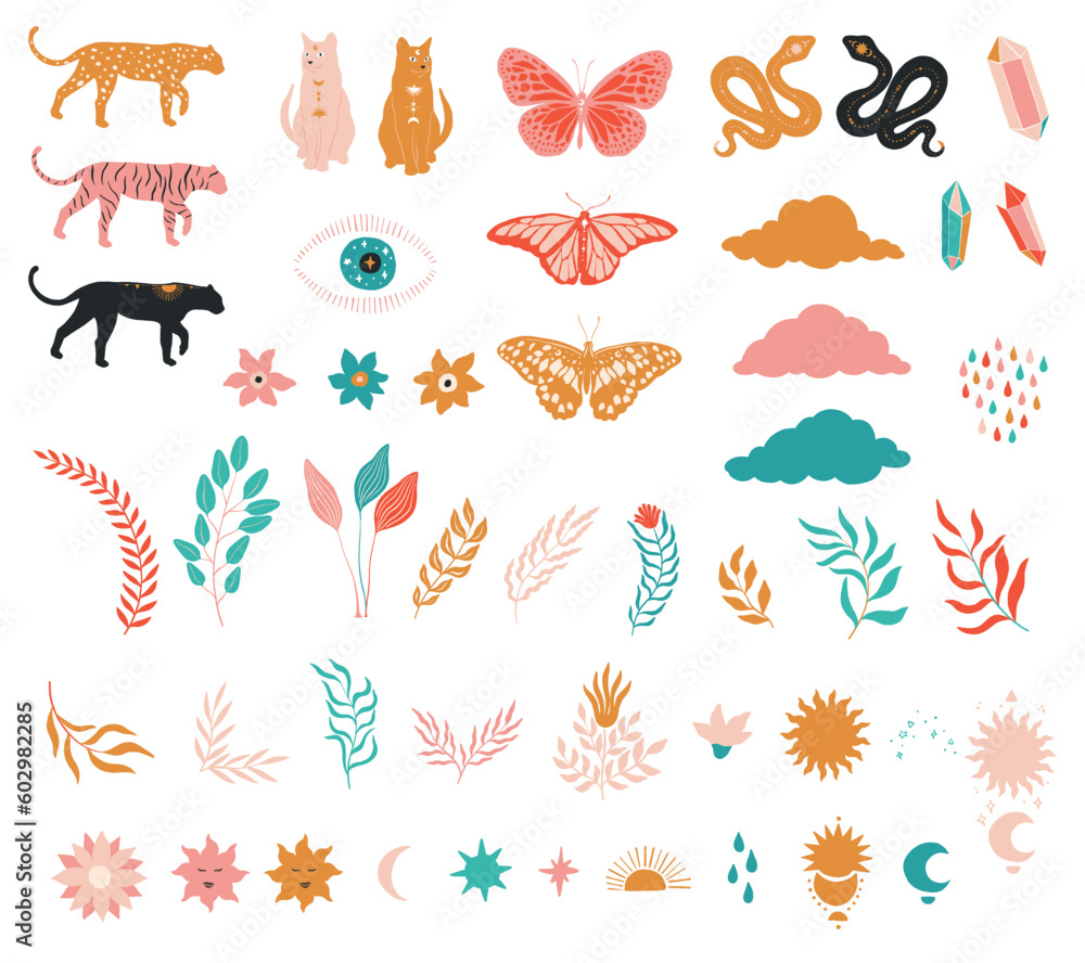 shine bright butterfly snake leopard floral vector boho meditation set element shine bright butterfly snake leopard floral vector boho meditation set element