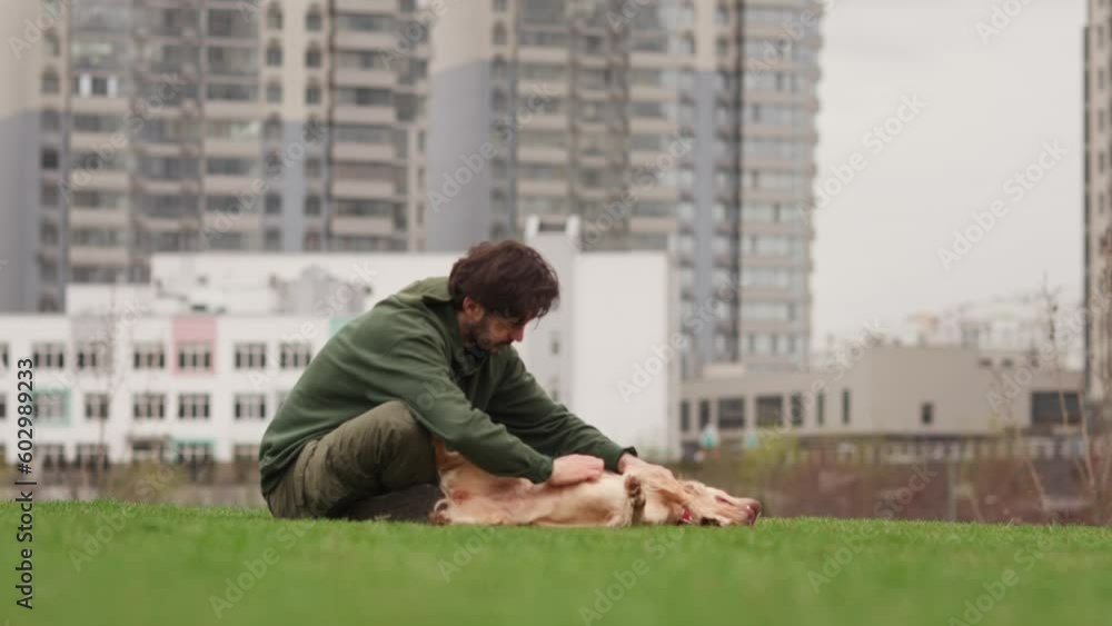 A happy cocker spaniel lies on the grass and a man scratches his stomach. A brunette man plays with his dog while walking in the park. A happy cocker spaniel lies on the grass and a man scratches his stomach. A brunette man plays with his dog while walking in the park.