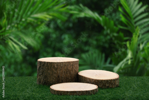 Wood tabletop podium floor in outdoors blur green tropical leaf tropical forest nature landscape background.cosmetic natural product mock up placement pedestal stand display jungle summer concept.