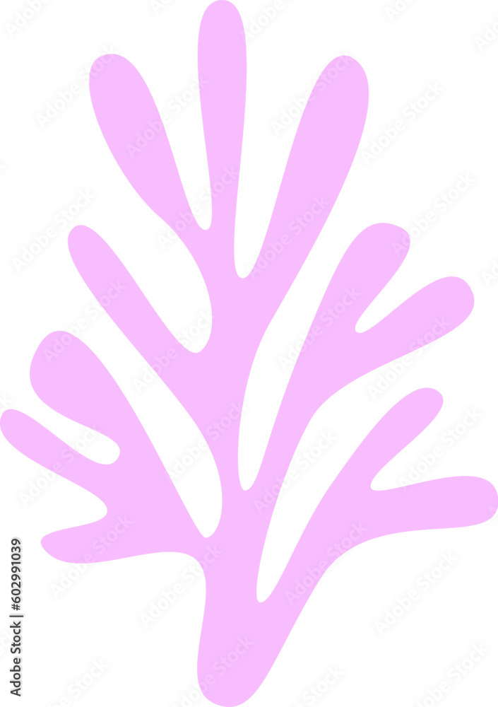 Seaweed Marine Plant Seaweed Marine Plant