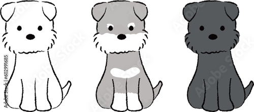 手書き風のシンプルなかわいいミニチュアシュナウザーのイラスト