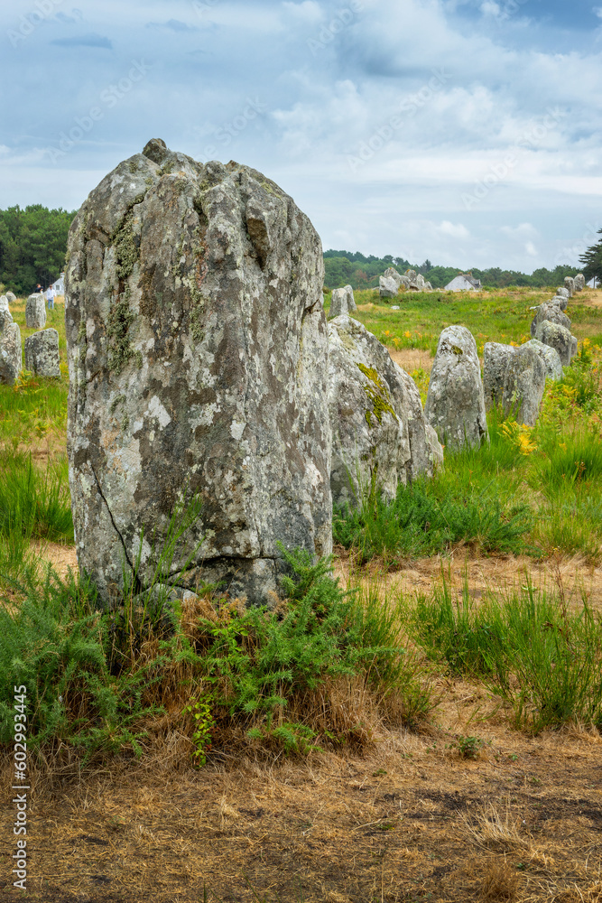 Standing stones (or menhirs) in the Menec alignment in Carnac, Morbihan, Brittany, France