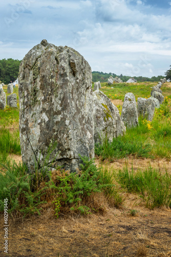 Standing stones (or menhirs) in the Menec alignment in Carnac, Morbihan, Brittany, France photo