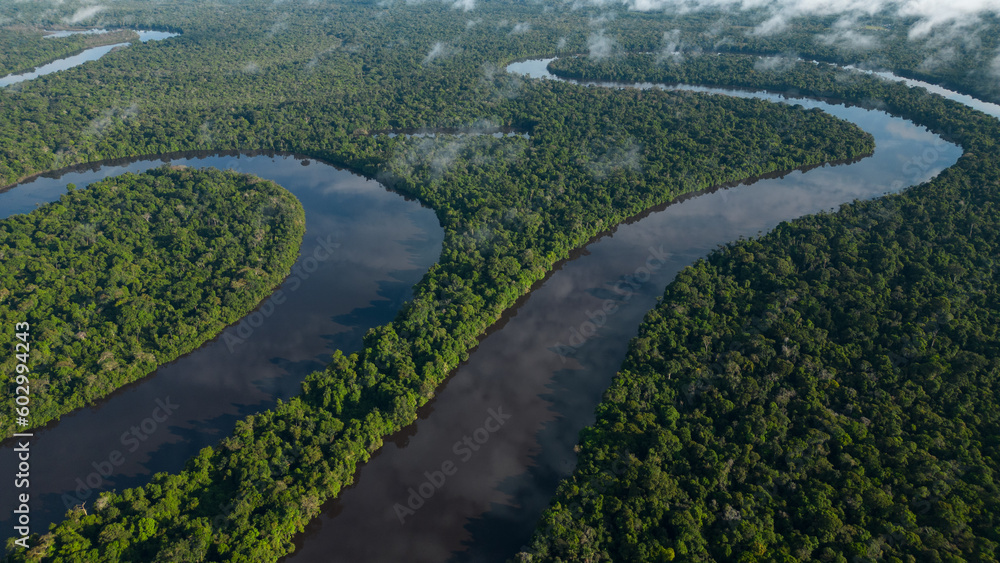 AMAZON RIVERS IN THE PERUVIAN JUNGLE, THEY CLEARLY SHOW THE MEANDERS, THE AMAZON AND THE NANAY ARE IMPORTANT TRIFLUENTS FOR CITIES IN THE PERUVIAN JUNGLE