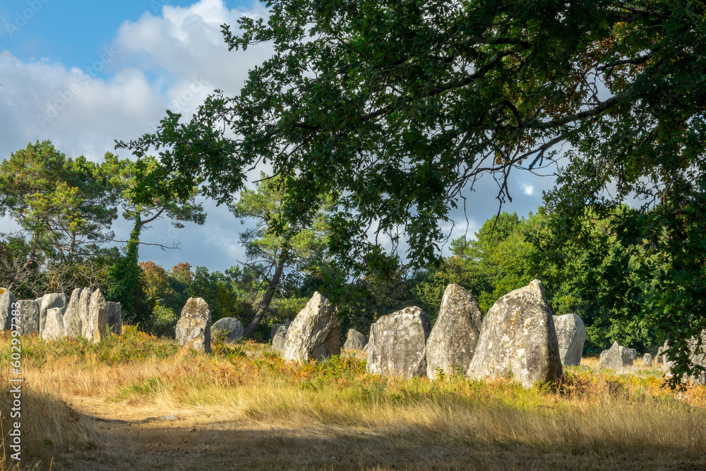 Standing stones (or menhirs) in the Kerlescan alignment in Carnac, Morbihan, Brittany, France