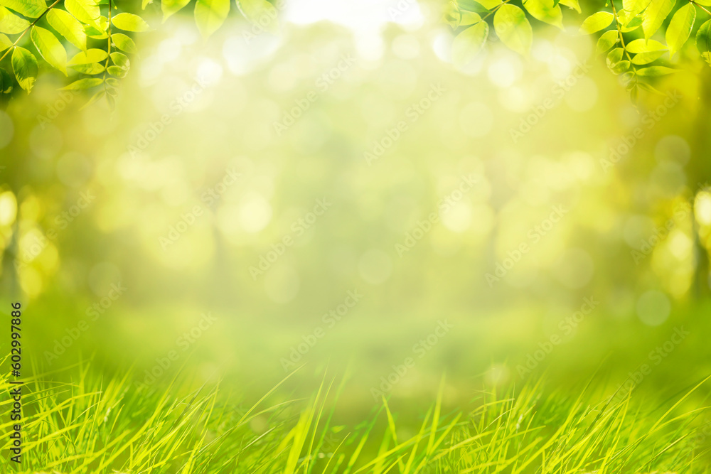 Abstract blurred natural spring background with green tree leaves