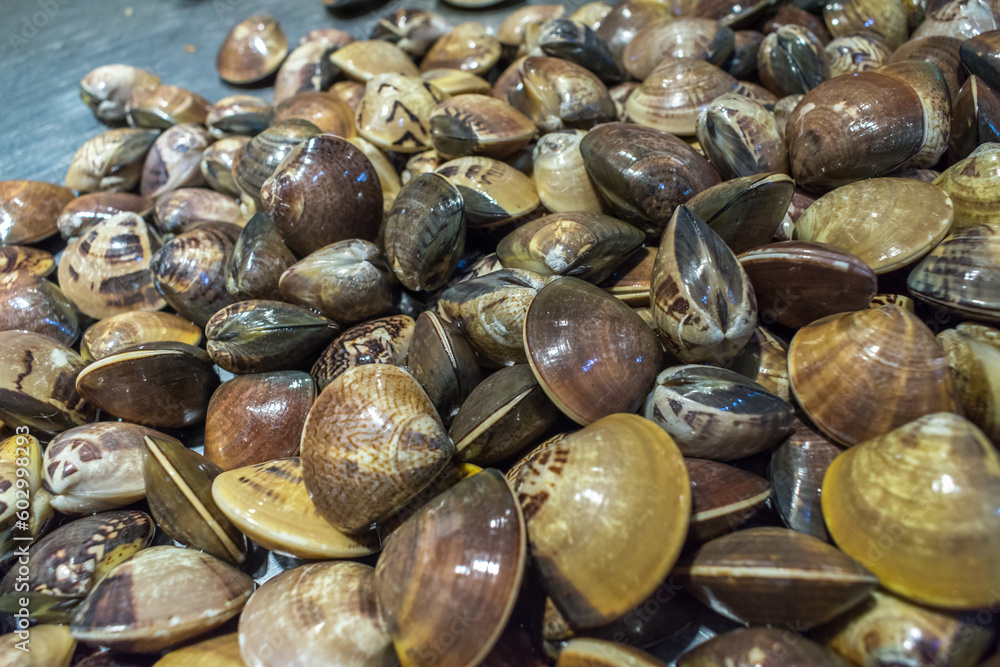 Beihai, China - July 18, 2019: Fresh clams from the sea at a local wet market in downtown Beihai. Beihai, China - July 18, 2019: Fresh clams from the sea at a local wet market in downtown Beihai.