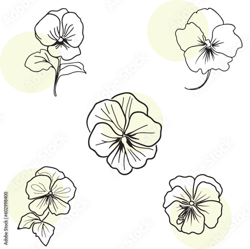 Set of  flowers line art illustrations. Hand drawn black ink style sketch.