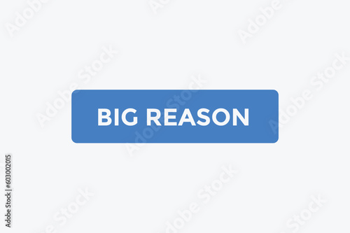 Big reason button web banner templates. Vector Illustration 
