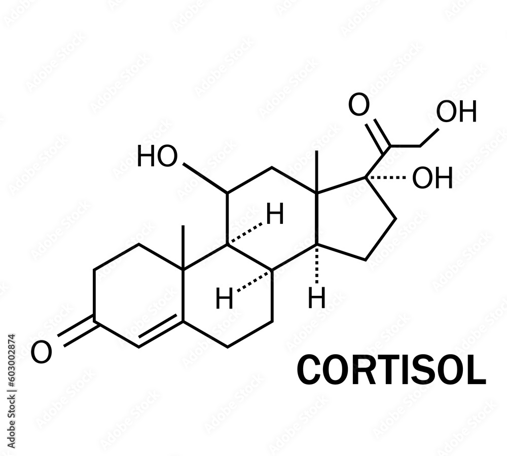 Cortisol hormone icon. Chemical molecular structure of hydrocortisone on a transparent background. vector illustration.
Cortisol hormone icon. Chemical molecular structure of hydrocortisone on a transparent background. vector illustration.