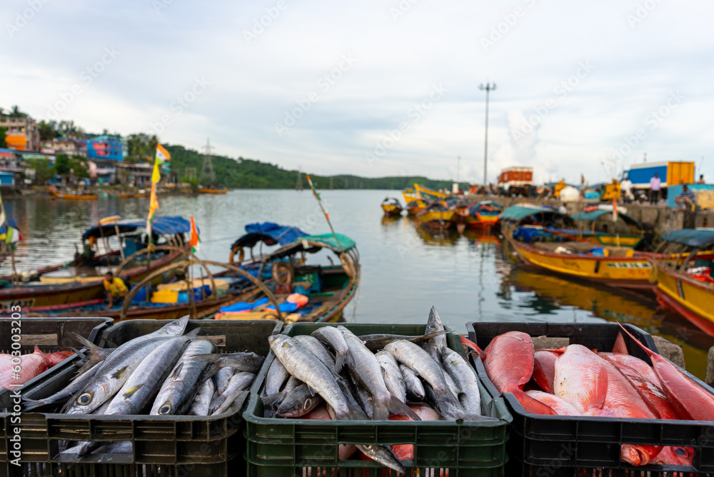 Junglighat, located in Port Blair, the main city of the Andaman Islands, is  the largest fish landing center of the islands with proximity to storage  centers Stock Photo