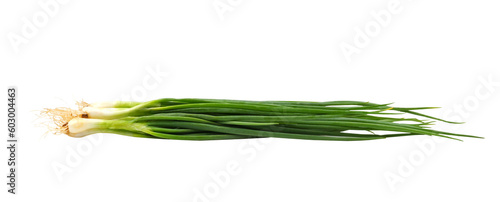 fresh Spring Onion on transparent png