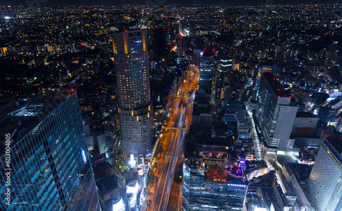 Canvas Print tokyo skyline at night horizontal view