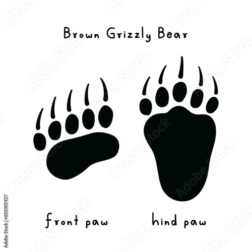 Brown grizzly bear tracks. Drawing of bear paw print. Trail of predator's front and hind paws. Wild animal. Bear footprint. Printing on clothes, logo design. Symbol, trace icons. Vector illustration