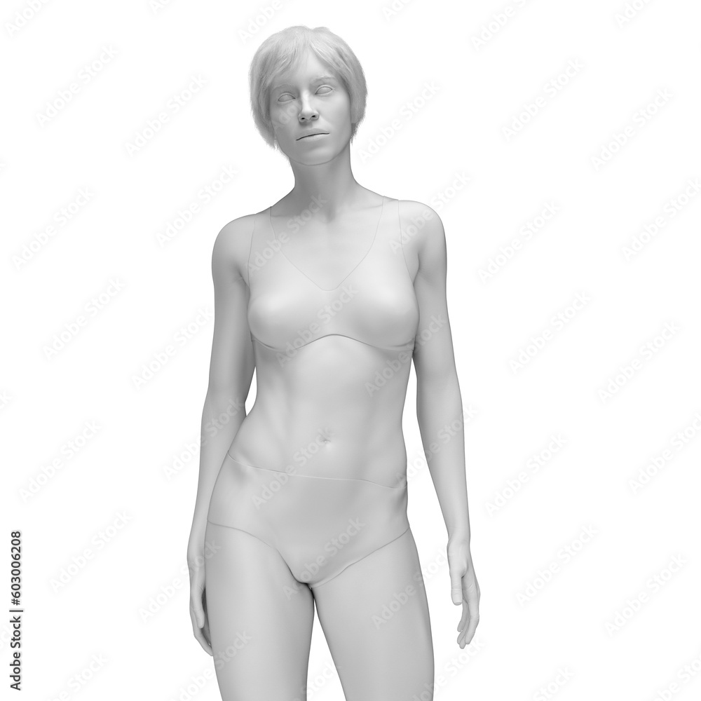 Fototapeta premium 3d medical illustration of the female body