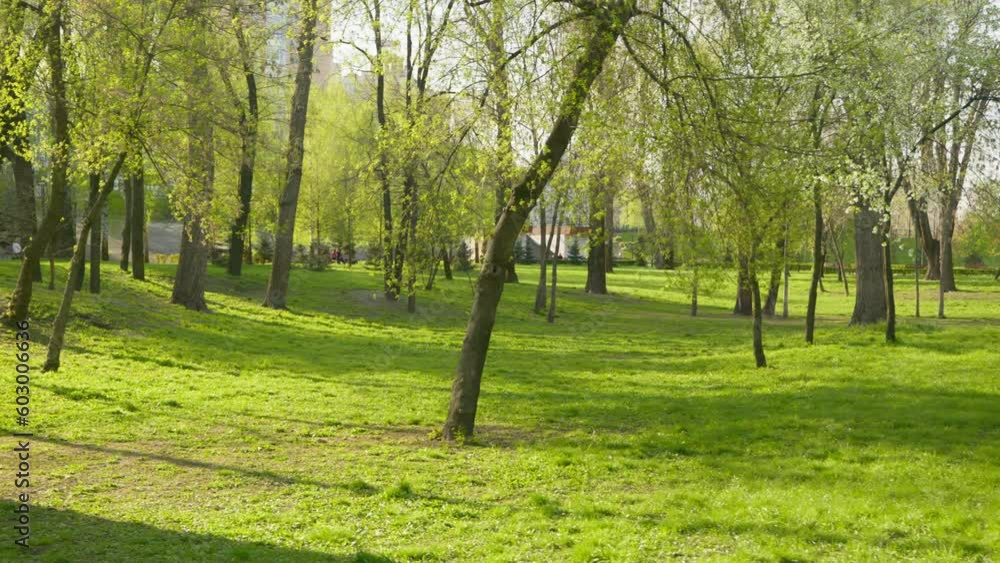 Rest, outdoor and joyful woman walking having fun smiling in park for health, peace, relaxing outside. Nature creative soft focus. Carefree female lady enjoying sunlight, fresh air for energy Rest, outdoor and joyful woman walking having fun smiling in park for health, peace, relaxing outside. Nature creative soft focus. Carefree female lady enjoying sunlight, fresh air for energy