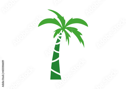vector colorful coconut tree  tree drawing designs