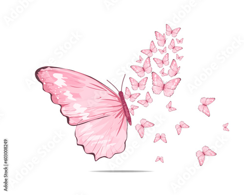 pink butterfly on white background