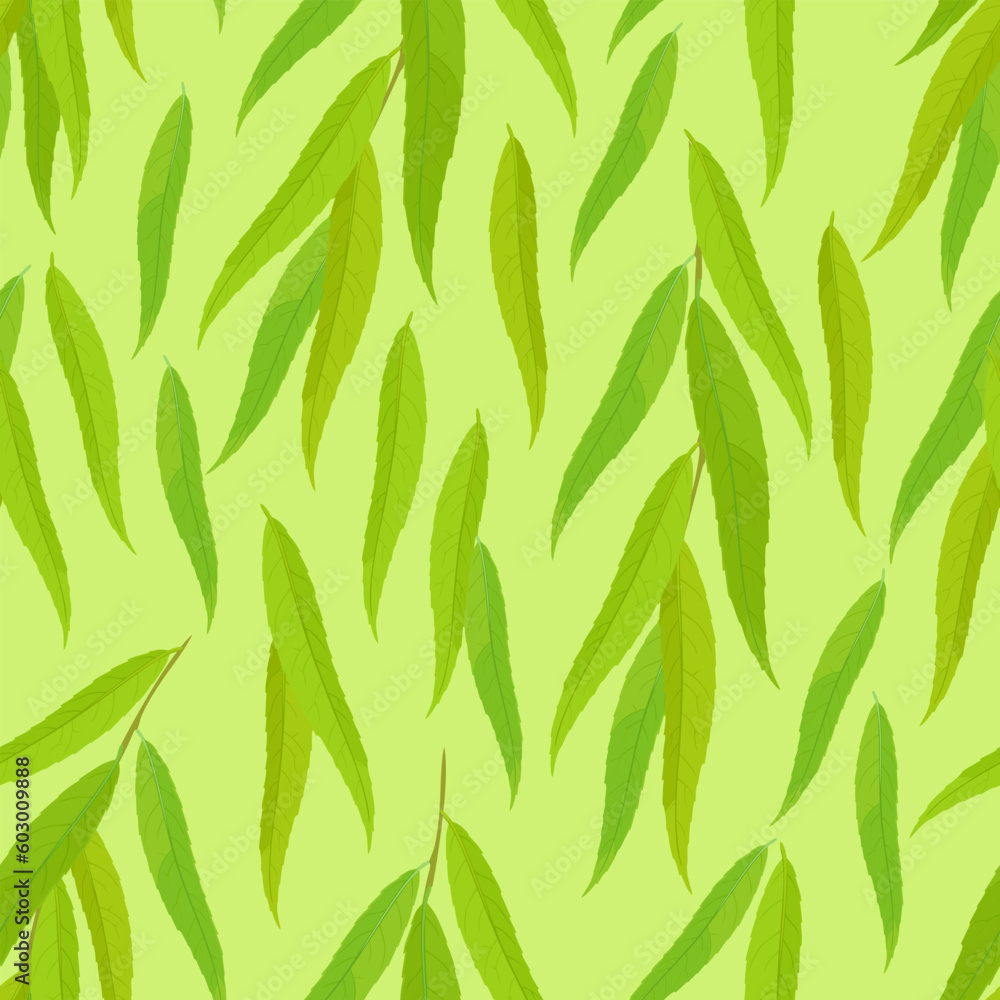 Green leaves of willow seamless pattern. Vector botanical background. Greenery cartoon illustration.