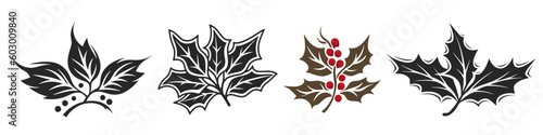 Christmas vector plants set. Holly berry, christmas tree, pine, leaves branches. Vector illustration