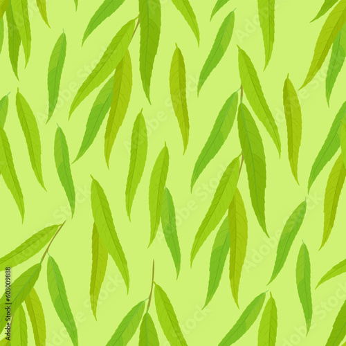 Fototapeta Naklejka Na Ścianę i Meble -  Green leaves of willow seamless pattern. Vector botanical background. Greenery cartoon illustration.