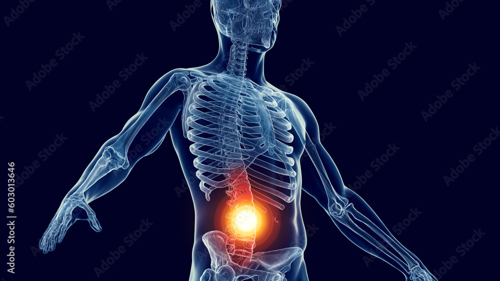 3d medical illustration of a man's skeletal system. lower back pain 3d medical illustration of a man's skeletal system. lower back pain