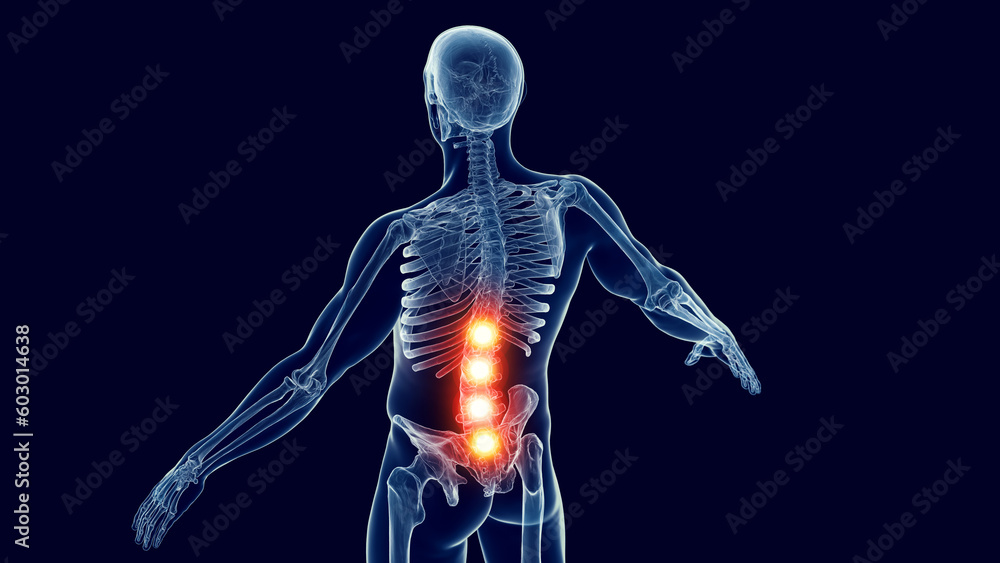 3d medical illustration of a man's skeletal system. lower back pain 3d medical illustration of a man's skeletal system. lower back pain