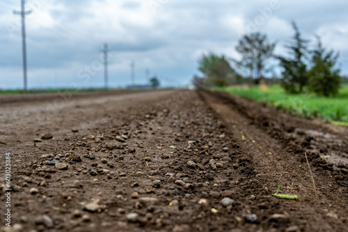 low angle view of a tire track left in a gravel road in a rural setting with spring green grass and trees on either side. 