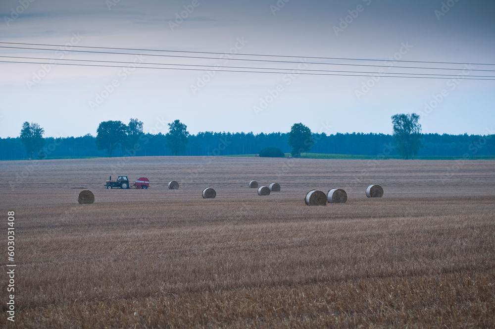 Pole, żniwa, las, traktor, krajobraz
