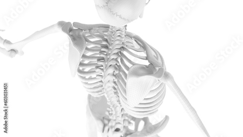 Foto 3d medical illustration of a man's thoracic spine
