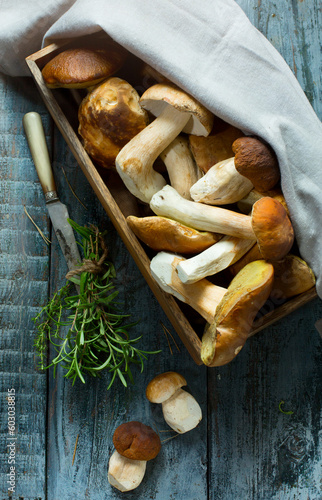 art Basket with fresh porcini mushrooms in the summer or autumn season; cep mushrooms and spices herbs on a wooden table; Italian recipe photo