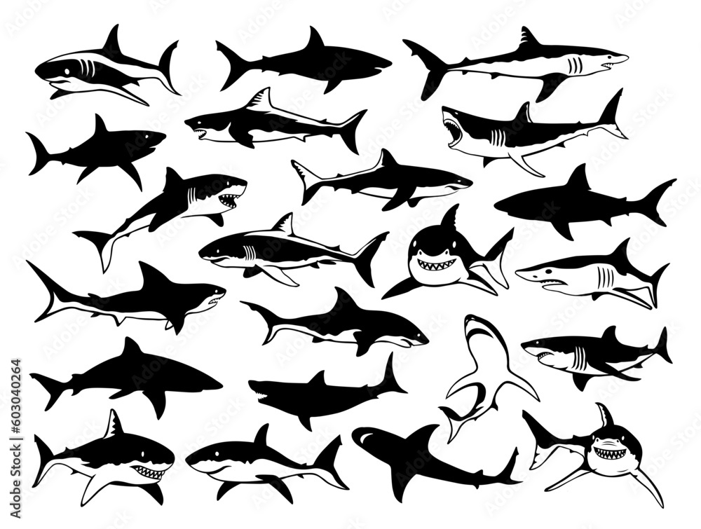 Shark SVG bundle, Shark silhouette, Shark icon, Sharks SVG, Shark face SVG Shark SVG bundle, Shark silhouette, Shark icon, Sharks SVG, Shark face SVG
