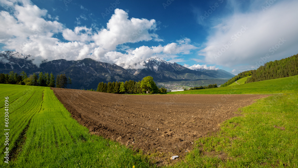 landscape with field and mountains
