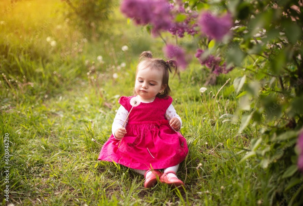 Cute 1 year old baby girl in a pink dress playing on a green sunny lawn at sunset in a park with flowering bushes, spending time outdoors in the park Cute 1 year old baby girl in a pink dress playing on a green sunny lawn at sunset in a park with flowering bushes, spending time outdoors in the park
