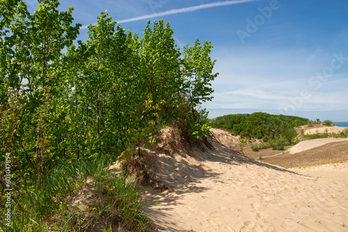 Landscape at Warren Dunes.