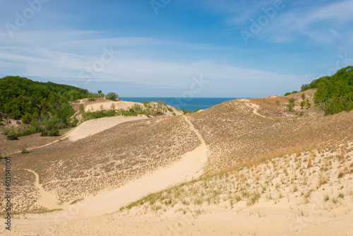 Fototapeta Naklejka Na Ścianę i Meble -  Landscape at Warren Dunes.
