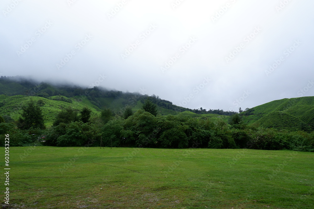 Morning scenery with fog on the hills at the farm with a cool atmosphere to visit in Malaysia.