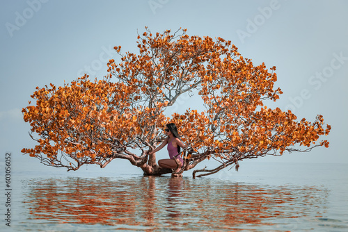 browm tree in the water with a girl on it photo