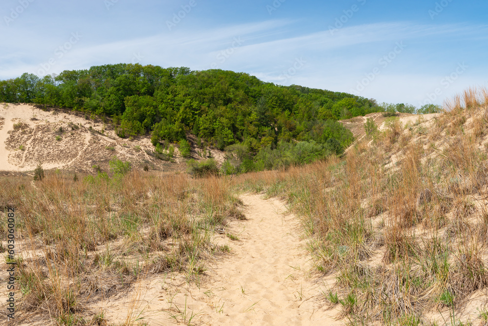Hiking trail in the sand dunes.