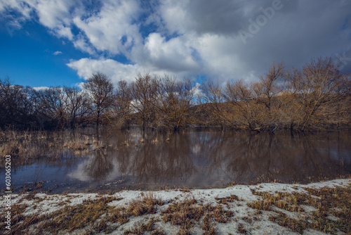 the long-awaited spring in the countryside