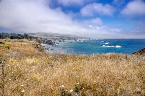 Bodega Bay Fence Post Coastline