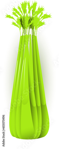 Vector image of celery  isolated