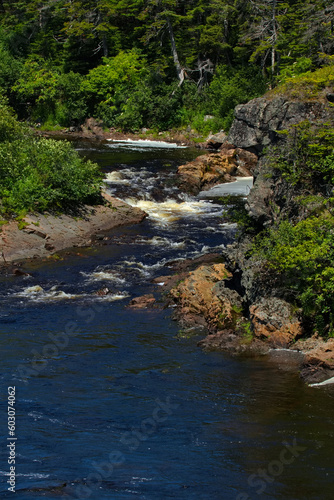 Lovely Rocky River Fishway in Newfoundland  Canada